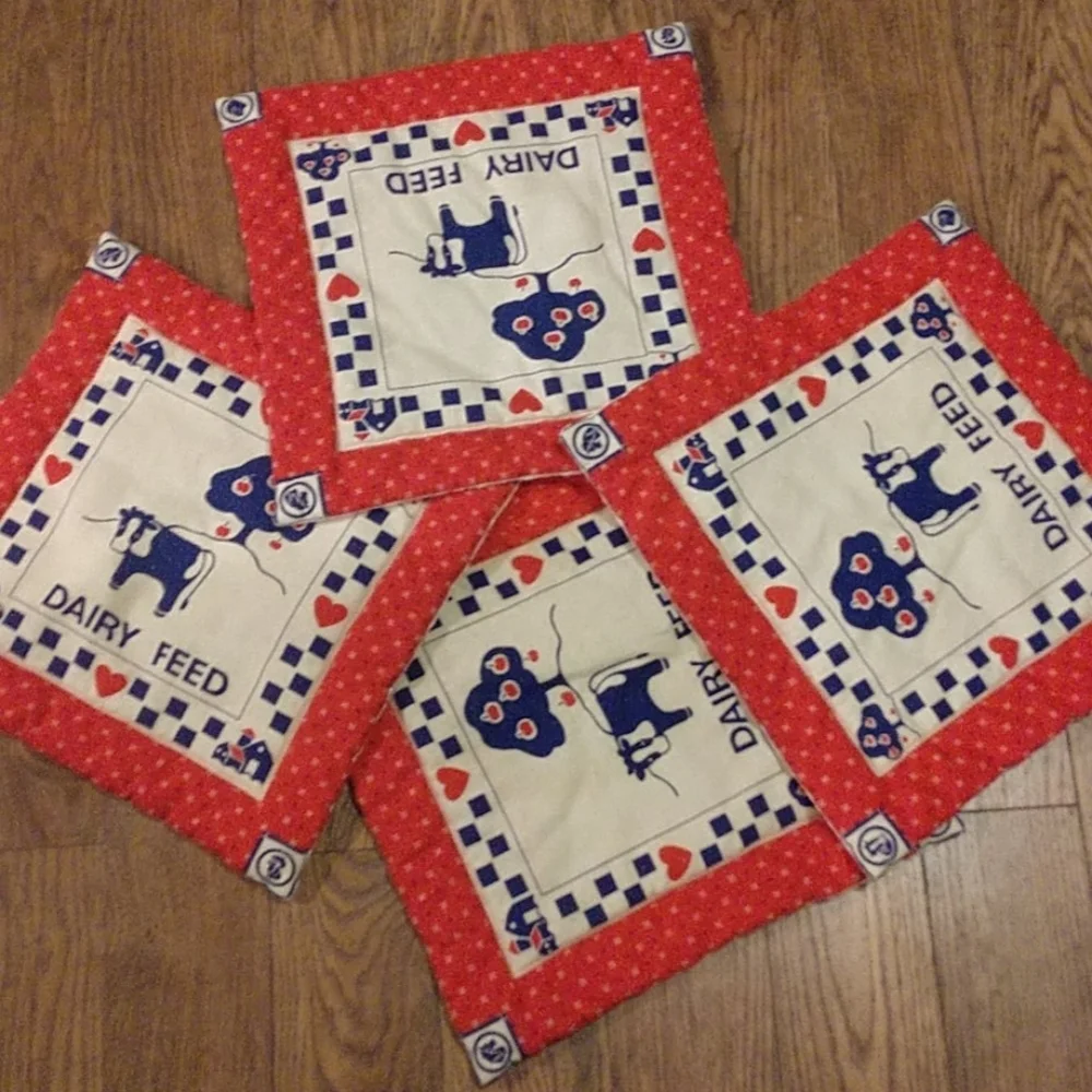 Set of 4 placemats/hot pads